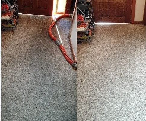 Carpet Cleaning
