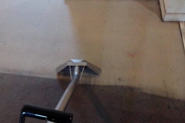Carpet Cleaning by adam steam cleaning