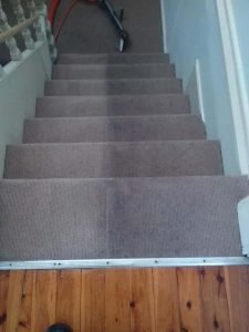Carpet Cleaning By Adam Steam Cleaning