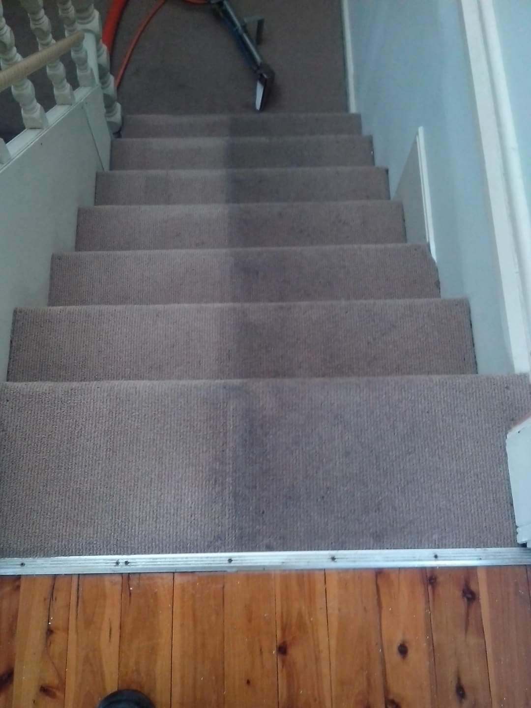Carpet Cleaning By Adam Steam Cleaning