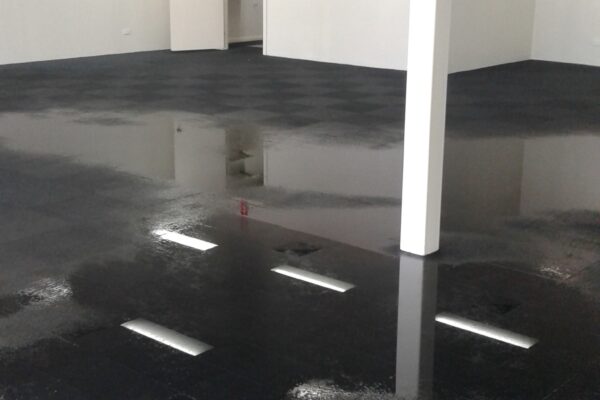 carpet cleaning by adam steam cleaning