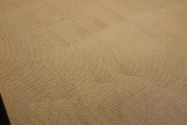 Carpet Cleaning By Adam Steam Cleaning