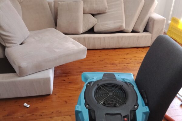 Upholstery Cleaning by Adam Steam Cleaning
