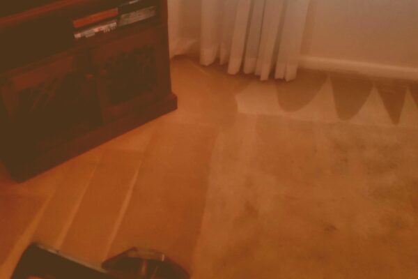 Carpet Cleaning By Adam Steam Cleaning